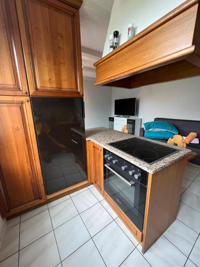 Tiny Apartment With Amazing View, Garden & Terras Schattdorf Екстериор снимка